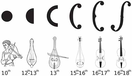 Evolution des ouïes, planche tirée de The evolution of air resonance power efficiency in the violin and its ancestors