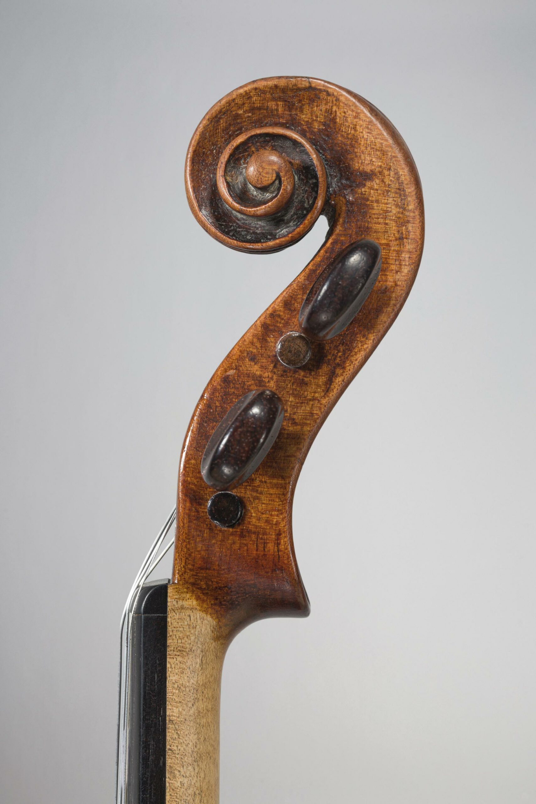 Intéressant violon de Giuseppe CATENARI Instrument mis en vente par Vichy Enchères le 1 juin 2023 © C. Darbelet