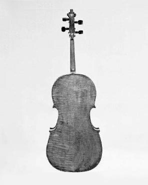 Violoncelle piccolo, n°inv.5.98 - Conservatorio di Musica San Pietro a Majella à Naples.