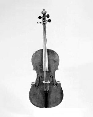 Violoncelle piccolo, n°inv.5.99 - Conservatorio di Musica San Pietro a Majella à Naples.