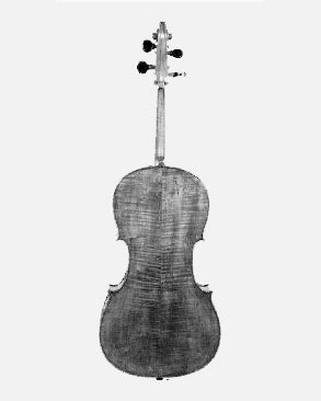Violoncelle piccolo, n°inv.5.99 - Conservatorio di Musica San Pietro a Majella à Naples.
