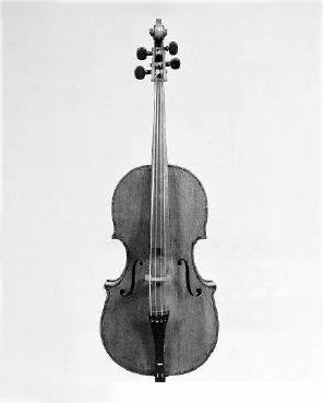 Violoncelle piccolo, n°inv.5.100 - Conservatorio di Musica San Pietro a Majella à Naples.