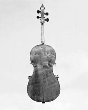 Violoncelle piccolo, n°inv.5.100 - Conservatorio di Musica San Pietro a Majella à Naples.