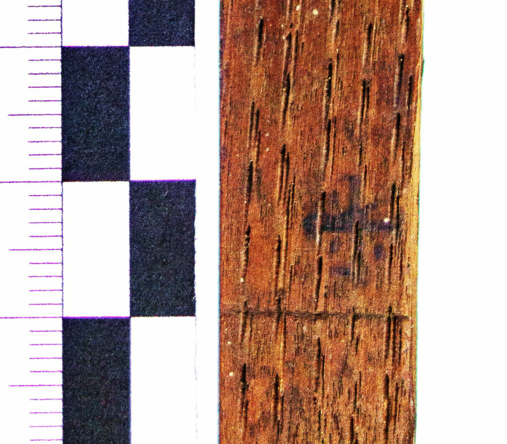 Clavecin Italien anonyme, fin XVIe Instrument mis en vente par Vichy Enchères le 2 mai 2026 © Vichy Enchères/ Photo C. Darbelet