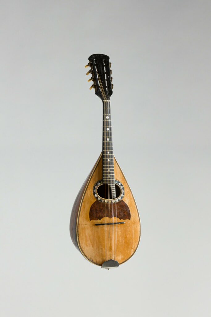 Mandoline romaine à dix huit côtes, dans le style d'une Luigi Embergher, Model Orchestra 1, de 1921. Instrument mis en vente par Vichy Enchères le 6 novembre 2026 © Vichy Enchères/ Photo C. Darbelet