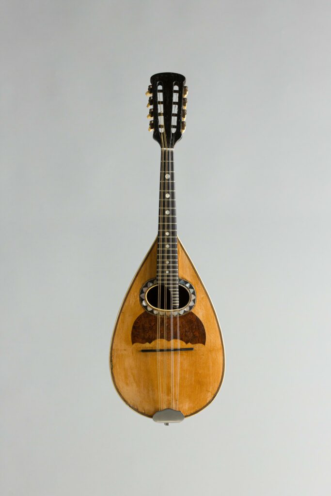 Mandoline romaine à dix huit côtes, dans le style d'une Luigi Embergher, Model Orchestra 1, de 1921. Instrument mis en vente par Vichy Enchères le 6 novembre 2026 © Vichy Enchères/ Photo C. Darbelet