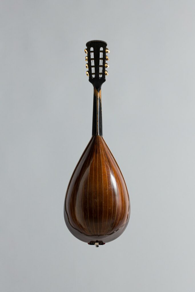Mandoline romaine à dix huit côtes, dans le style d'une Luigi Embergher, Model Orchestra 1, de 1921. Instrument mis en vente par Vichy Enchères le 6 novembre 2026 © Vichy Enchères/ Photo C. Darbelet