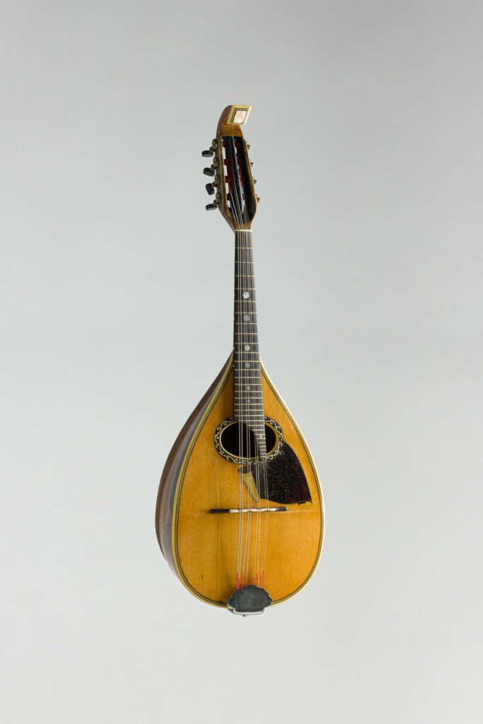 Mandoline romaine à trente quatre côtes creuses de Luigi EMBERGHER, Model concert 5Bis de 1927. Instrument mis en vente par Vichy Enchères le 7 novembre 2026 © Vichy Enchères/ Photo C. Darbelet