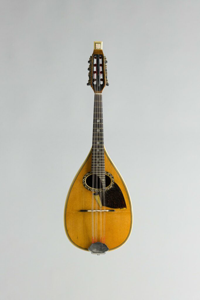 Mandoline romaine à trente quatre côtes creuses de Luigi EMBERGHER, Model concert 5Bis de 1927. Instrument mis en vente par Vichy Enchères le 7 novembre 2026 © Vichy Enchères/ Photo C. Darbelet