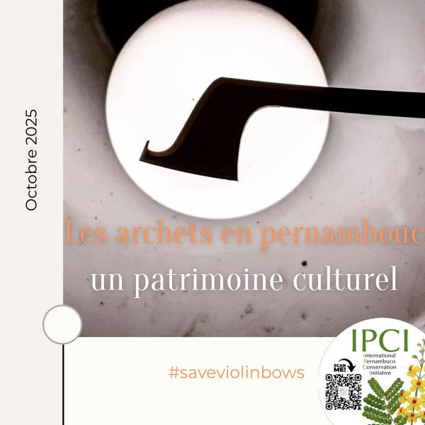 Document d’information sur le pernambouc et sa conservation. IPCI France-Europe